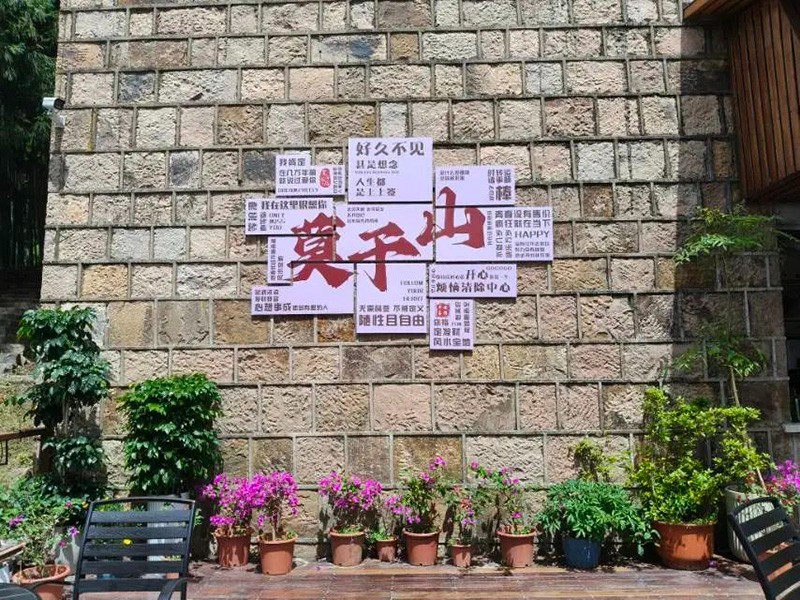 1753856007782972NOcd.jpg